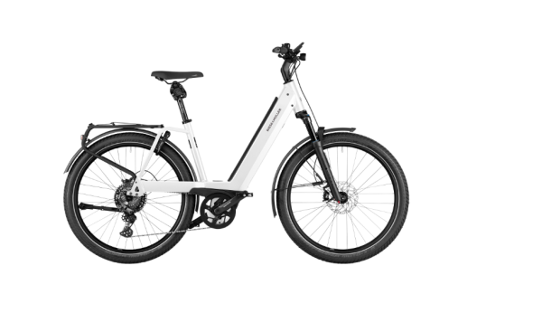 Riese & M&uuml;ller Nevo4 GT touring, 10s, RH51cm, 750Wh, dark grey, Intuvia100, Perf CX