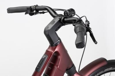 Winora iRide Pure R5f MID i400Wh 5-G Nexus   24-25 Wi BSXM MA_red velv. rose tan Rh L Produktbild 5