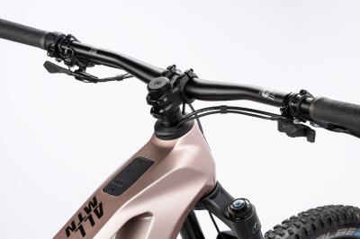 Haibike ALLMTN CF 11 i800Wh 12-G Pinion   25-26 HB PMD GL_rock carbon grey Rh M 42 Produktbild 2