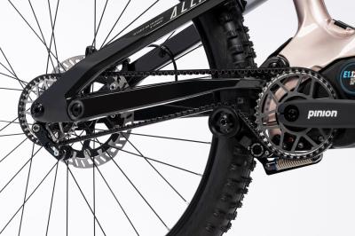 Haibike ALLMTN CF 11 i800Wh 12-G Pinion   25-26 HB PMD GL_rock carbon grey Rh M 42 Produktbild 4