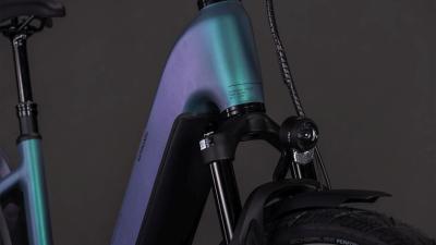 Cube Kathmandu Hybrid EXC 800 smaragdgrey'n'prism Gr&ouml;&szlig;e: Easy Entry 62 cm Produktbild 5