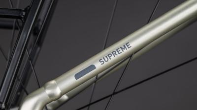 Cube Supreme RT Hybrid Comfort EXC 600 champagne'n'grey Gr&ouml;&szlig;e: Easy Entry 50 cm Produktbild 4