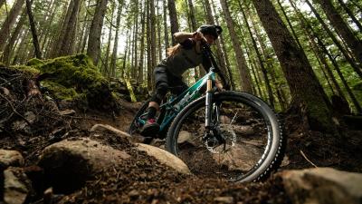 Trek Top Fuel 8 XL Matte Dark Web Produktbild 9
