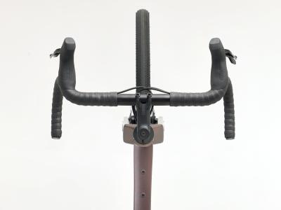 Trek Checkpoint ALR 5 ML Bronze Age Produktbild 2