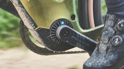Trek Checkpoint+ SL 5 EU ML Matte Bronze Age/Dark Web Produktbild 5