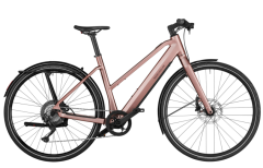 Kategorie E- Bikes - Urban Bikes