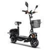 Rolektro, E-Joy 45 Lithium, Schwarz, 48V-20AH Akku, 1200 Watt