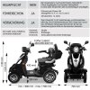 Rolektro, E-Quad 25 V.3 Lithium, Schwarz, 60V-30Ah Akku, 1000 Watt