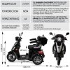 Rolektro, E-Trike 25 V.3 Lithium, Schwarz, 60-30AH Akku, 1000 Watt
