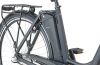 Prophete Geniesser 1.0 E-City 28  | RH 49 cm 374,4 Wh